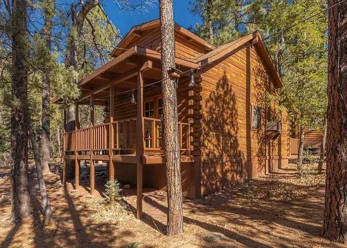 Forest 6 Enchanted Forest Payson